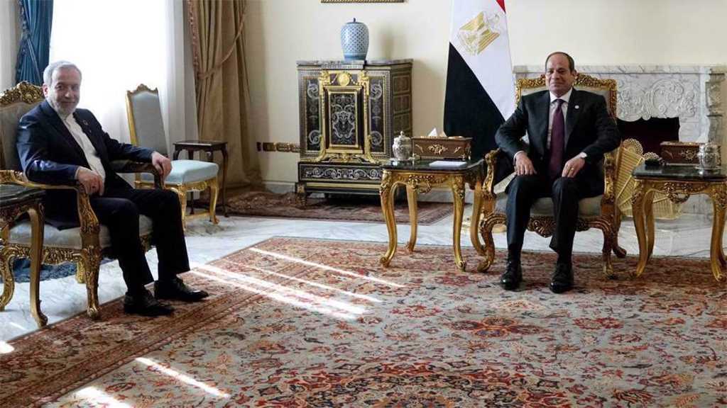 In Egypt, Iran FM Calls for Muslims ‘Collective Action’ to Stop ’Israeli’ Crimes in Gaza