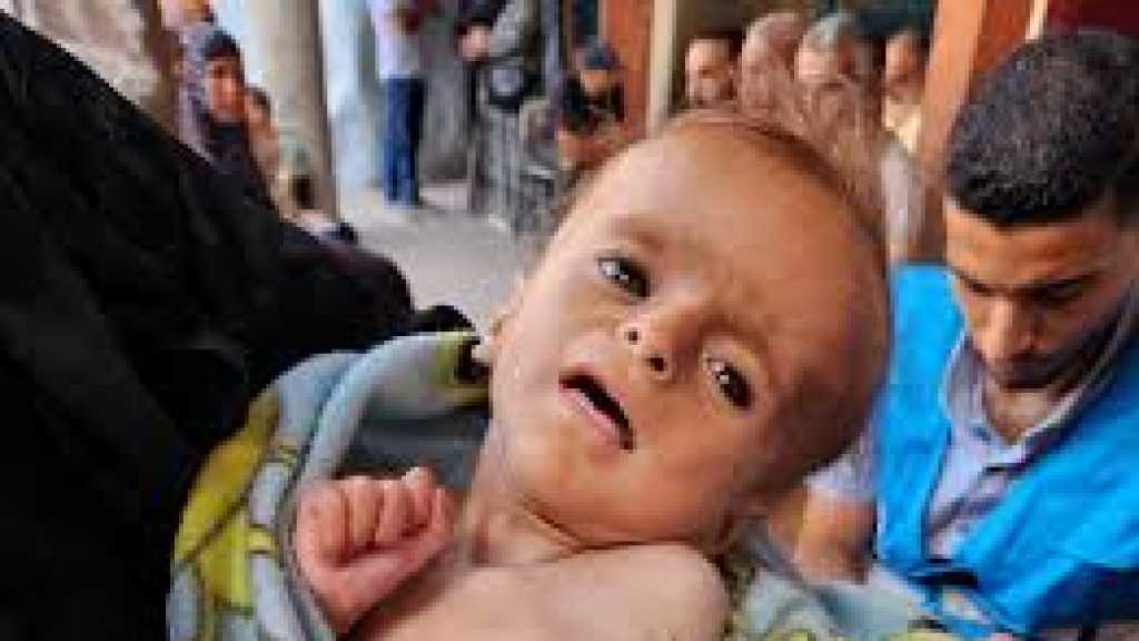 “Israeli” War of Starvation Kills Two More Palestinian Children in Gaza