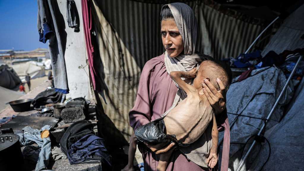Ex-UK Diplomats Urge Recognition of Palestine
