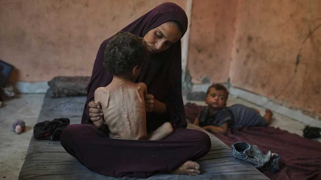 Australia, Canada Condemn ’Israeli’ Starvation Campaign in Gaza