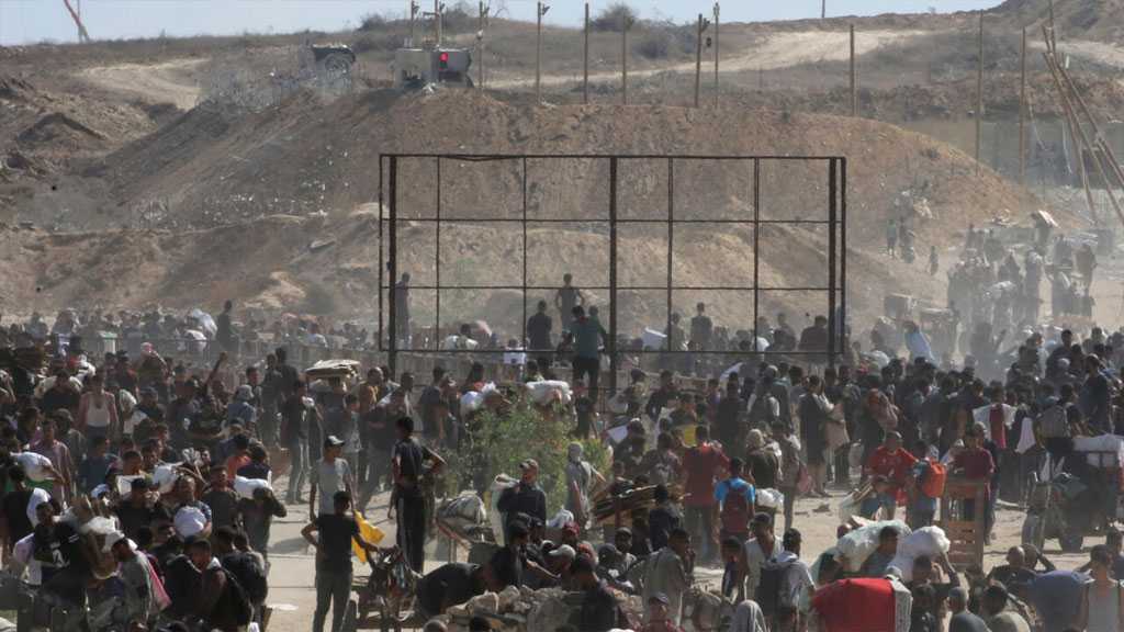 “Israel” Murders Nearly 90 Palestinians in Gaza as Starvation Deepens