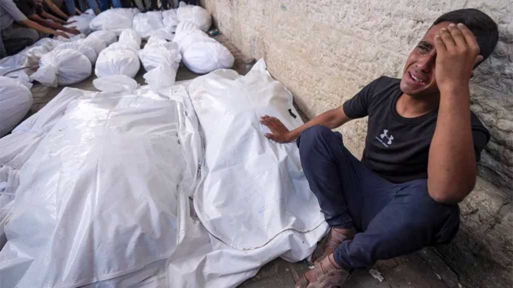 Elon Musk’s Grok Briefly Suspended Over Gaza Genocide Comments