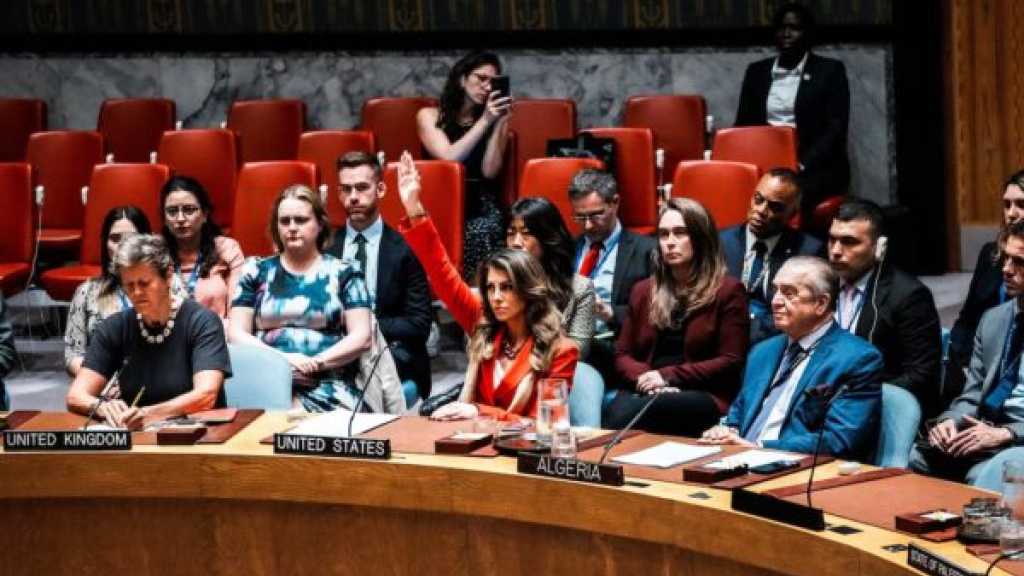US Veto Blocks UN Call for Gaza Ceasefire