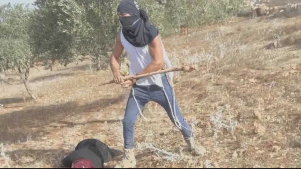 Settler Assault Goes Viral, US Slammed for Double Standards