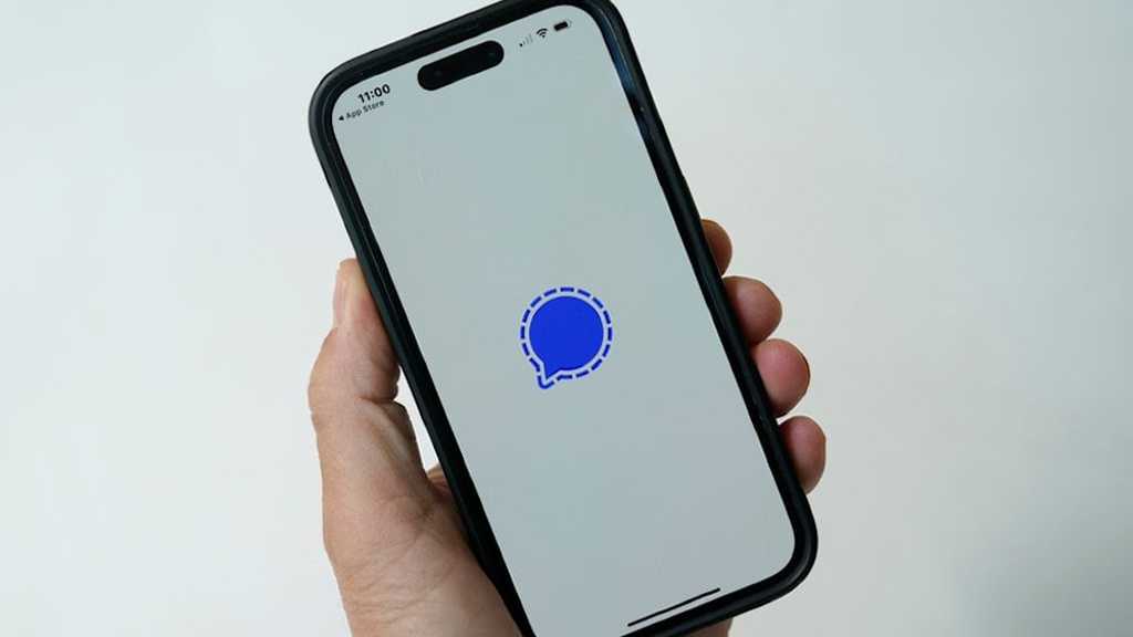 FBI Monitored Encrypted Signal Chat Used by NYC Immigration Courtwatchers