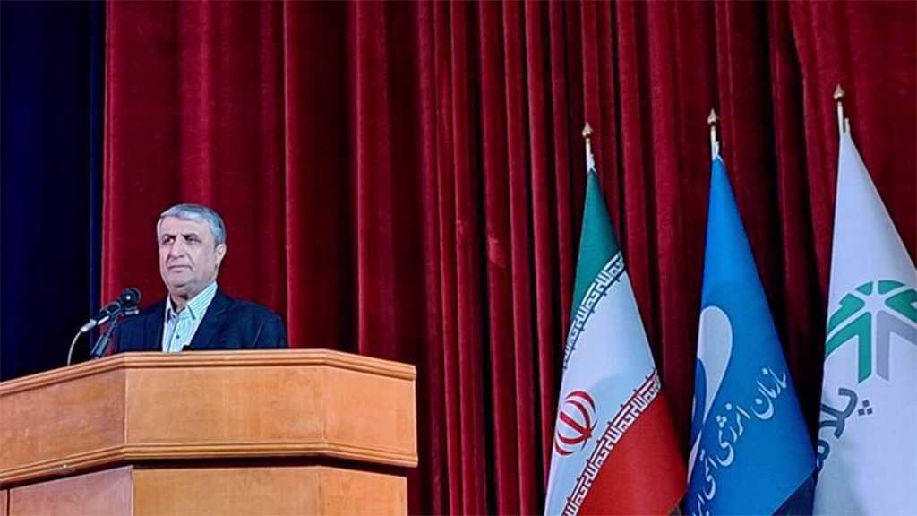 Iran Nuclear Industry Advances Despite Sanctions, Focuses On Public Health
