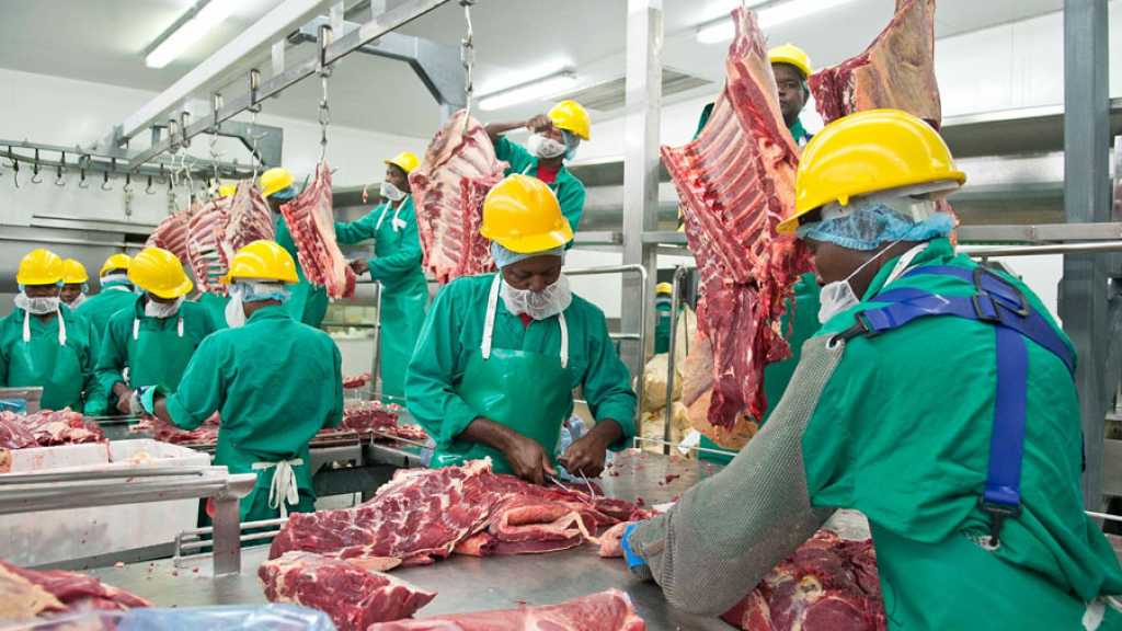 EU Restricts Namibian Meat Imports Over FMD Outbreak